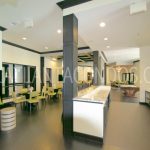 Elle of Buckhead Atlanta Luxury Condos For Rent