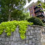 The Dakota Midtown Atlanta Condos For Sale 30308