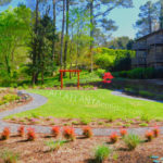 Chimney Trace Marietta 30067