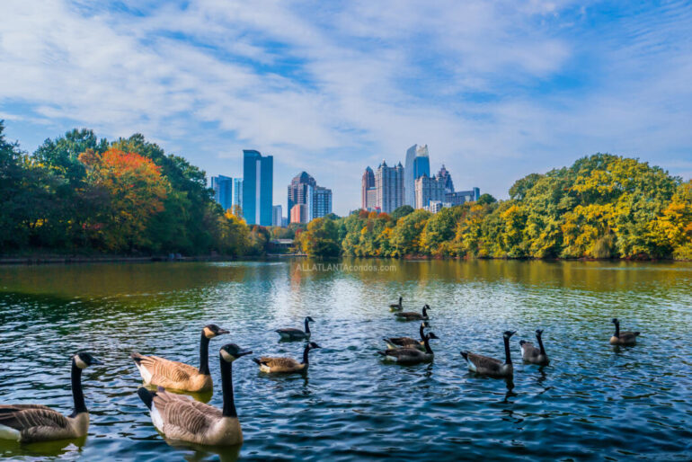 Top Realtor in Midtown Atlanta